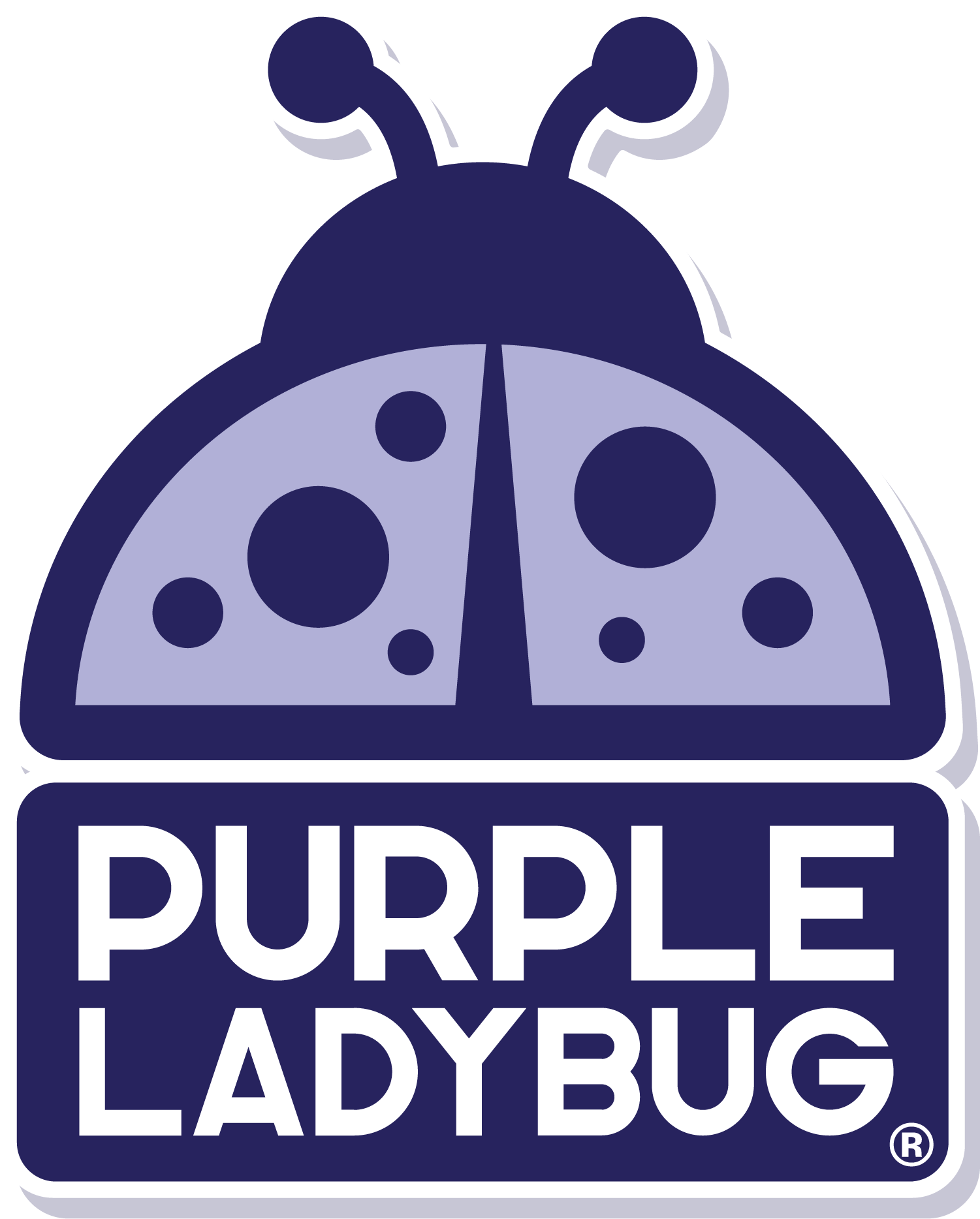 Purple Ladybug