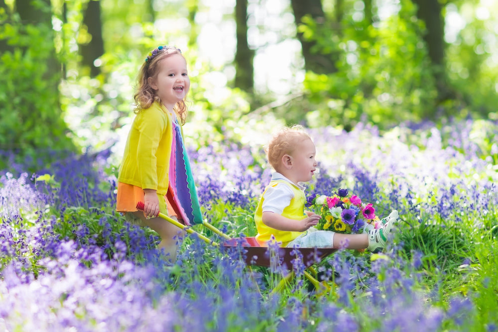 Spring Kindy Blog – Purple Ladybug® / PLBFUN®
