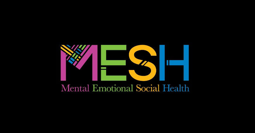 The Write Your Own Story Journal Earns MESH Accreditation!