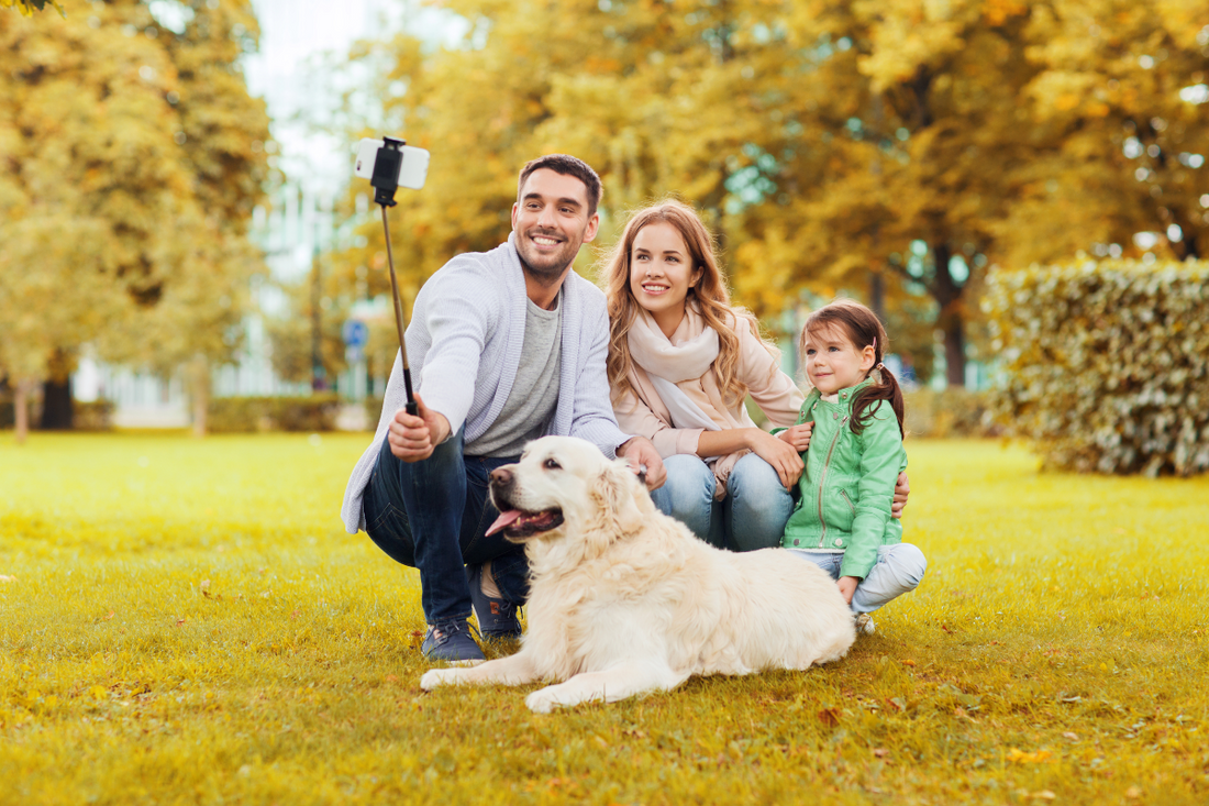 FREE Printable: Family Photo Activity Sheet - Tips for Fantastic Fall Family Photos