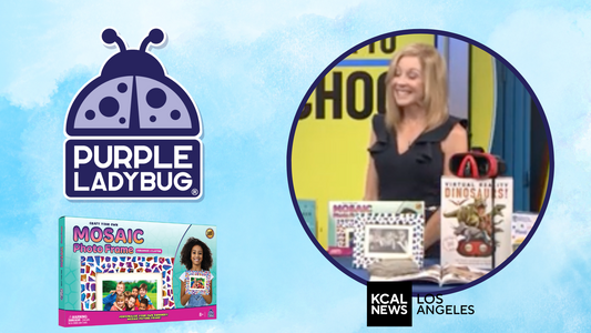 Toy Insider on KCAL NEWS featuring Purple Ladybug's Mosaic Frame with Cermaic