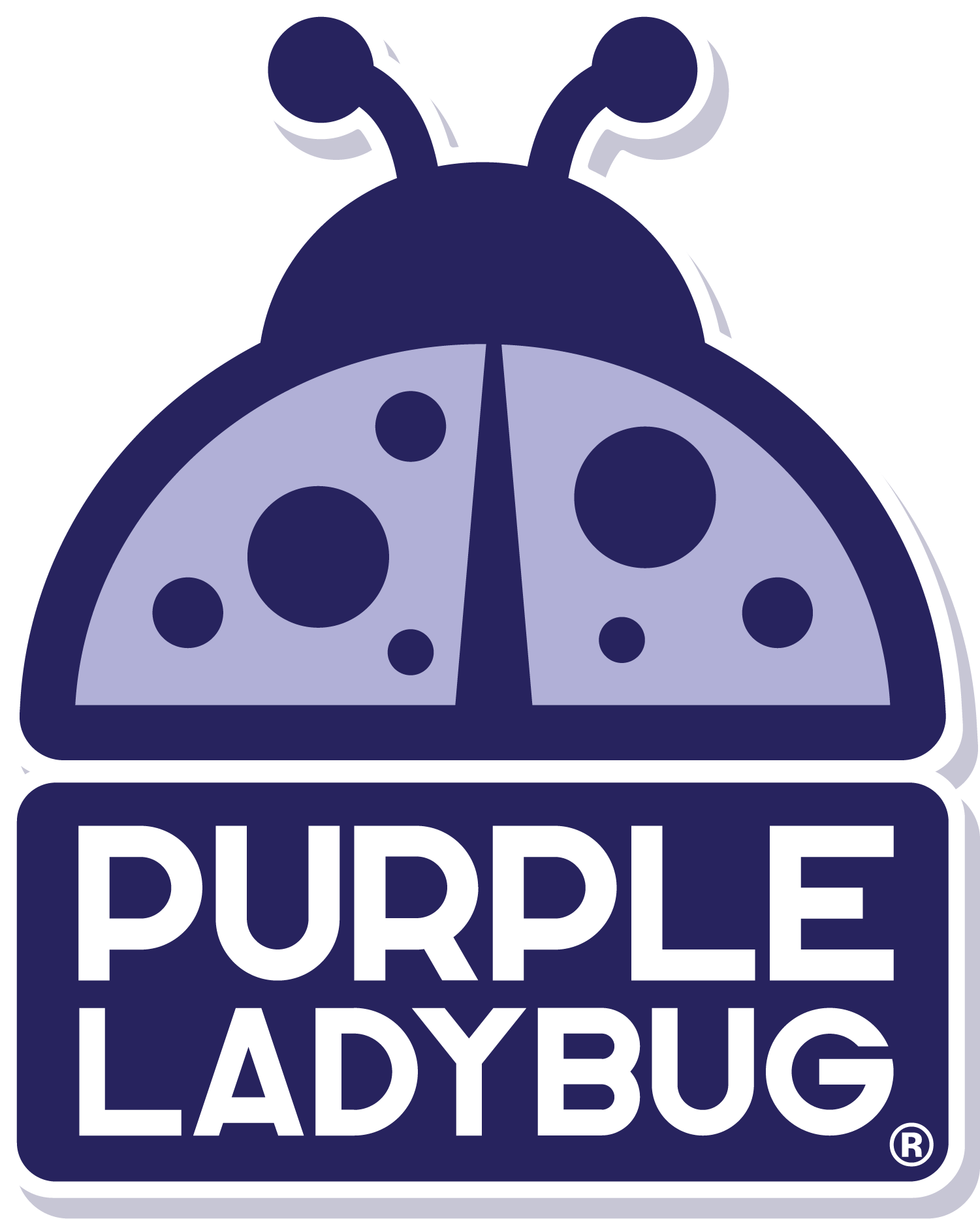 Iron On Foil Drawstring Bag Craft Kit – Purple Ladybug